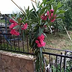 Gorazde-centar *