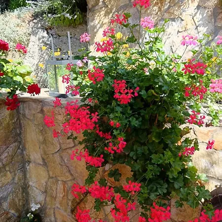 Gorazde-centar Apartamento