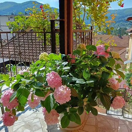 Gorazde-centar Apartamento *